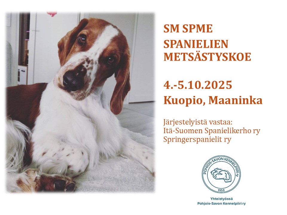Kuva: Sanna Vainio