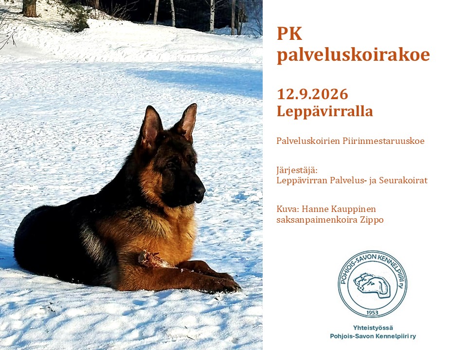 Palveluskoirien PAHA -koe