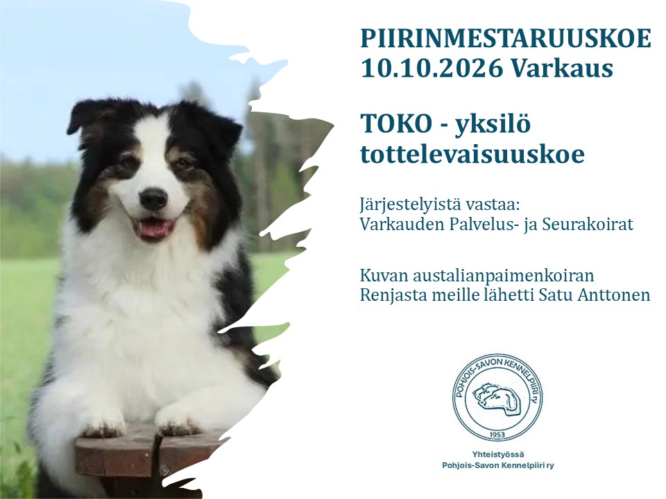 PM TOKO koe Varkaudessa
