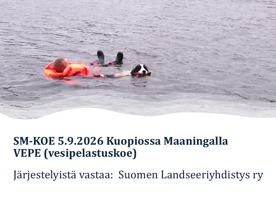 Maaningalla mittelöidään vesipelastuksen Suomen Mestaruudesta!
