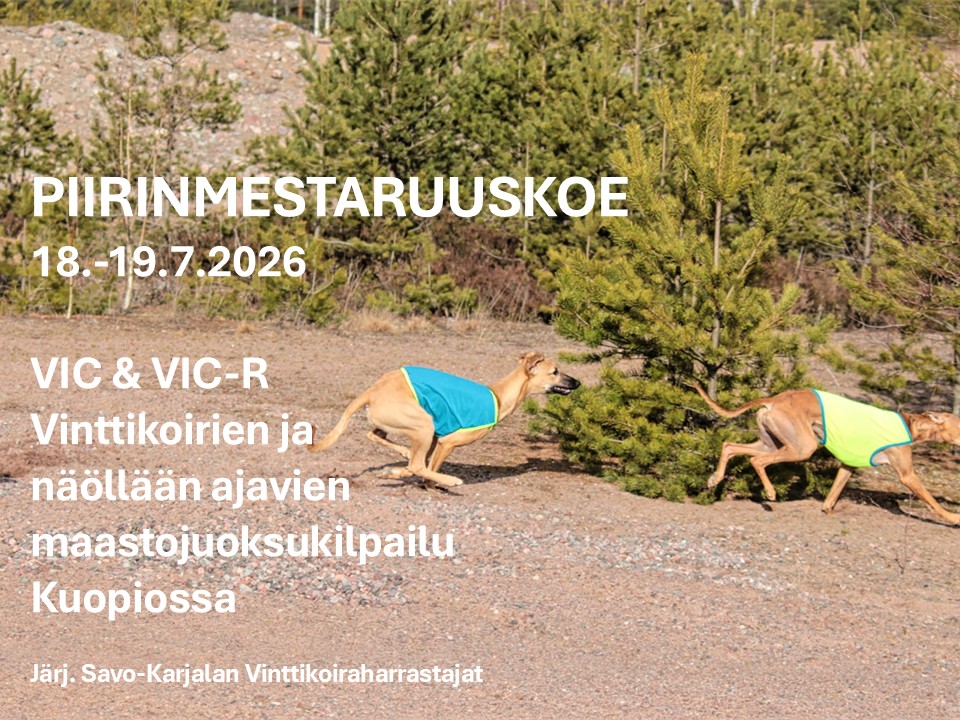 Vinttikoirien PM-koe