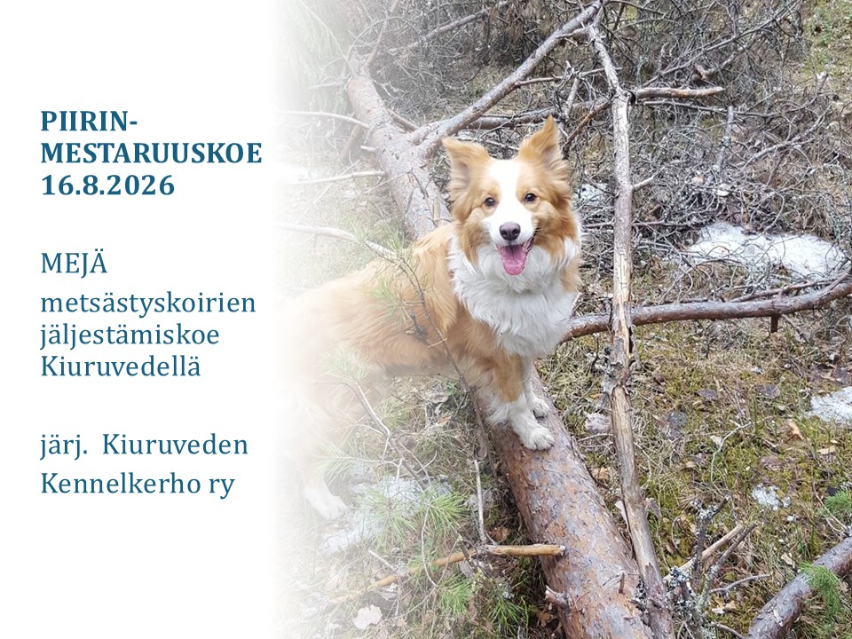 MEJÄ PM-koe 16.8.2026